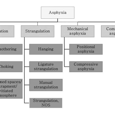 Age Sex And Subtypes Of Asphyxia Autopsies Performed In Korea During Download Table