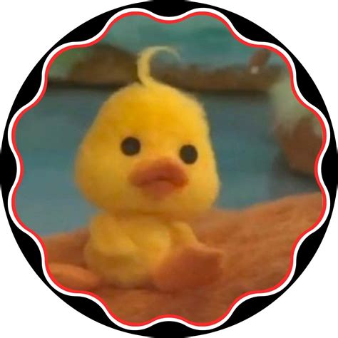 🔥 Duck Pfp 783 Duck Pfp Discord Meme Funny Matching Wallpaper