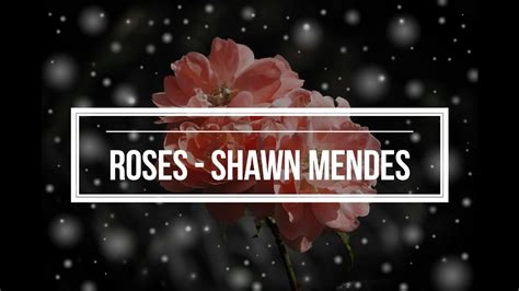 Roses - Shawn Mendes (Lyrics) - YouTube