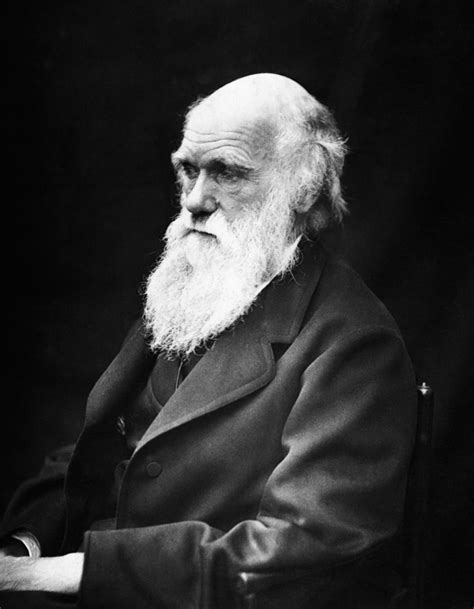 Charles Darwin Writework