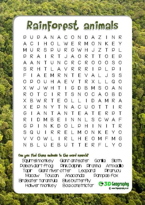Rainforest Animal Word Search Word Search Puzzles Rainforest