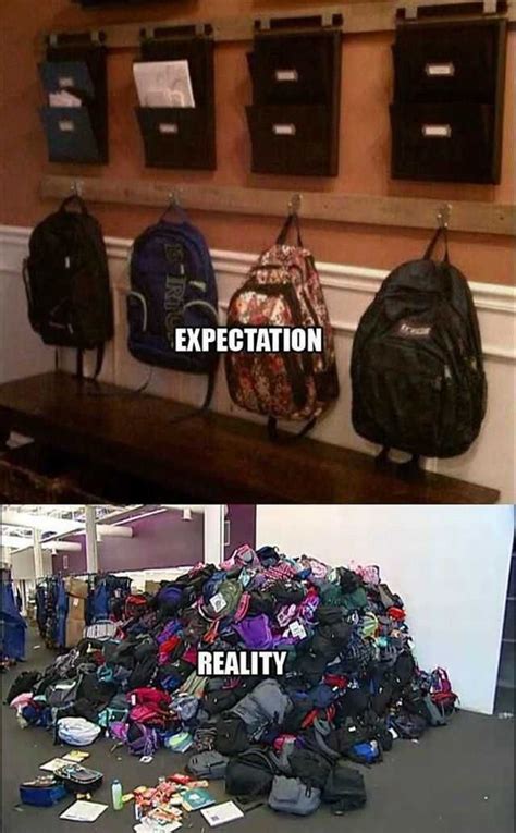 19 Expectations Vs Reality Funny Meme Pictures Expectation Vs