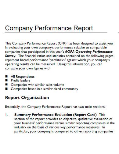 Free 10 Company Performance Report Samples Evaluation Confidential