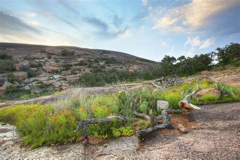 Texas Hill Country Landscapes 1 Enchanted Rock Oasis Photograph By