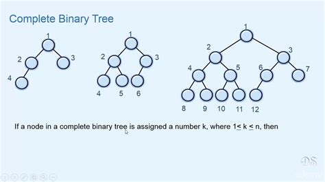 Complete Binary Tree Welllasopa