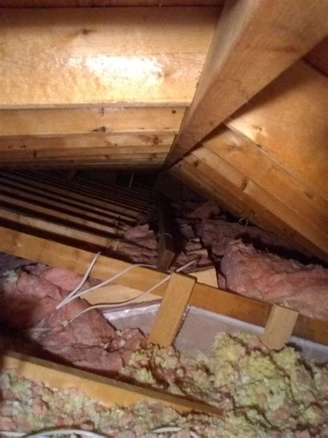 Signs You Need To Replace Your Attic Insulation Wildlifeshieldca