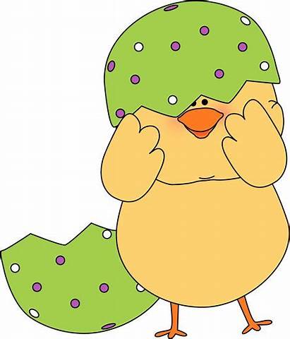 Easter Chick Clip Clipart Egg Shell Stuck