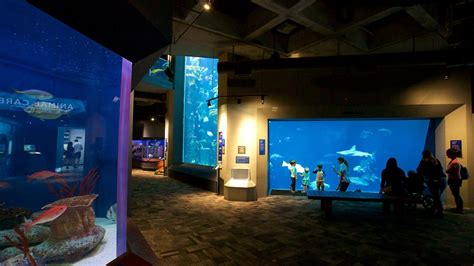 South Carolina Aquarium Charleston Expediaat