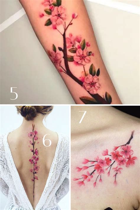 Japan Cherry Blossoms Tattoos Drawing