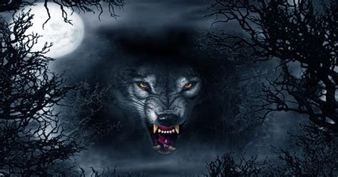 2496x1595 animal wolf wallpaper download hd images background images mac desktop wallpapers free 4k hd pictures 2496ã—1595 wallpaper. Evil wolf Abstract Ultra HD 4K Wallpapers | Abstract ...