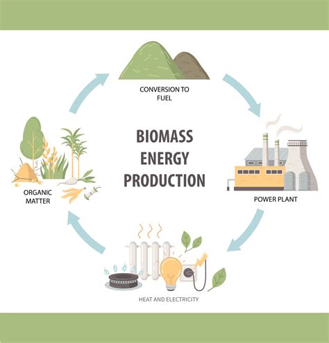 Exploring Energy Woody Biomass Nec