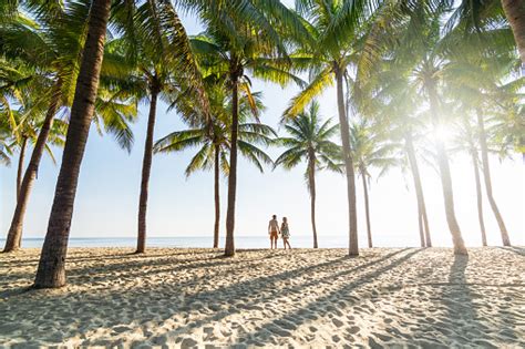 Couple Standing On Sandy Beach Among Palm Trees On Sunny
