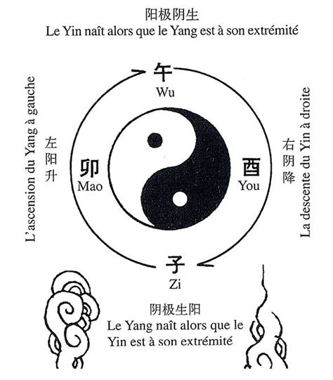 Blog Le Souffle Du Menhir Yin Yang Dans La Pathologie 4