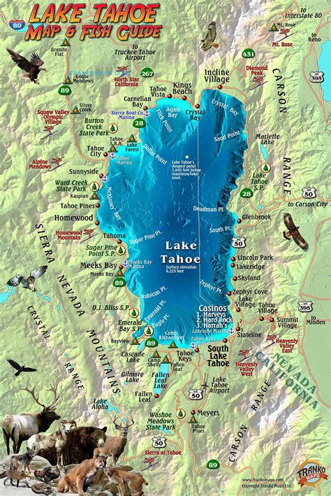 Map Of Lake Tahoe Map Of The World