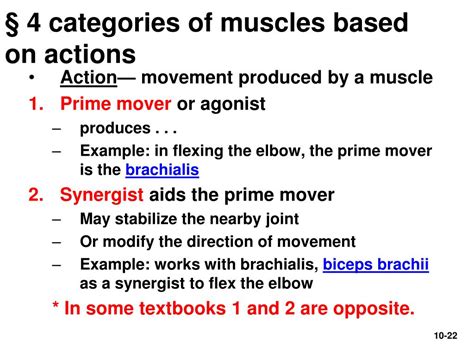Ppt Chapter 10—the Muscular System Powerpoint Presentation Free