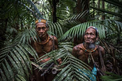 8 indigenous tribes of indonesia characteristics