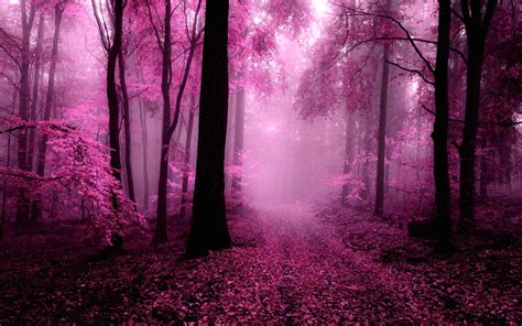 Cernunnos Faeriesdescend Pink Forest Forest Wallpaper Nature
