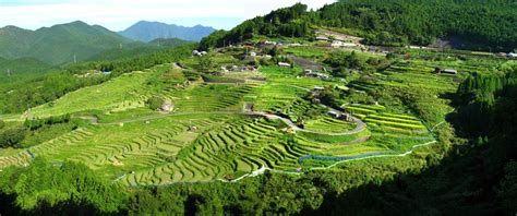 5 Most Beautiful Rice Field Terraces In Japan Travel Story At Triplisher