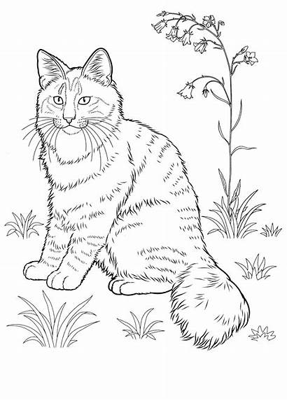 Cat Coloring Realistic Forest Via Bestcoloringpagesforkids Supercoloring