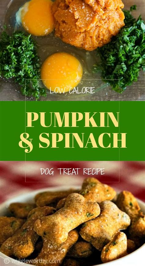 See the full recipe here. Low Calorie Pumpkin Spinach Dog Treats | Recipe | Dog ...