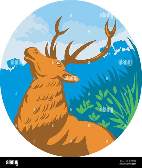 Illustration Of A Roaring Red Stag Deer With Forest In The Background