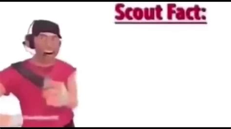 Scout Fact Coub The Biggest Video Meme Platform