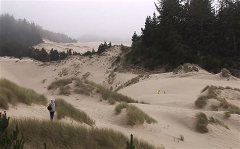 These companies ensure compliance with origin, transit point and destination quarantine requirements. Oregon Dunes National Recreation Area — Pet Friendly Travel