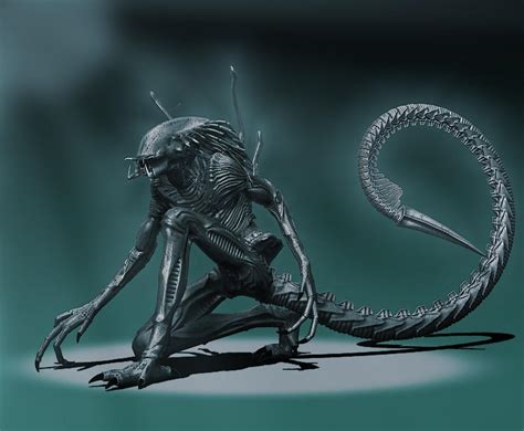 Predalien Wallpapers Top Free Predalien Backgrounds Wallpaperaccess