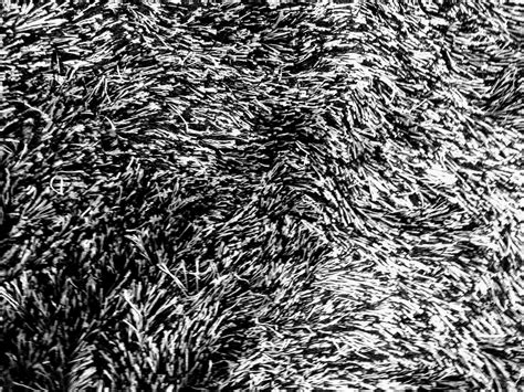 Black And White Thick Rug Texture Free Stock Photo Public Domain Pictures