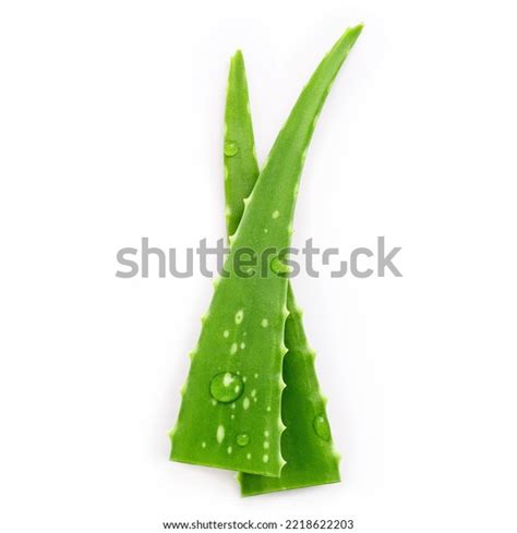 Close Aloe Vera Water Drops Isolated Stock Photo 2218622203 Shutterstock