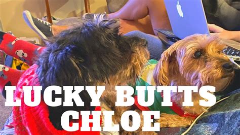 Lucky Butts Chloe Youtube