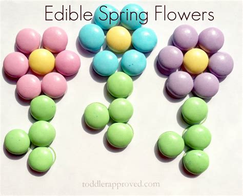 Toddler Approved Edible Spring Flowers