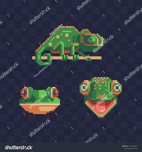 Chameleon Pixel Art Style Icon Set เวกเตอร์สต็อก ปลอดค่าลิขสิทธิ์