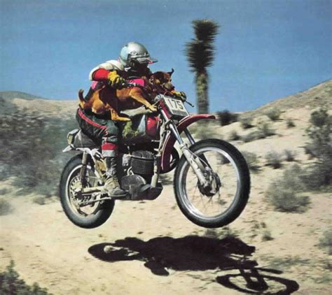 Drive your motorcycle in the rough terrain to collect coins. Riding With Your Dog! | The BikeBandit Blog