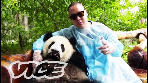 The Human Panda Is Back Latest On Vice October 25 2014 Youtube