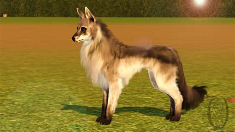Sims 3 Pets Krahviik Dog 01 By Spiritythedragon On Deviantart