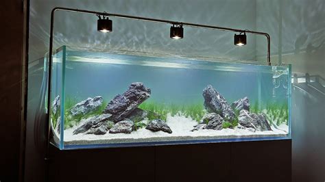 Iwagumi Reef Aquascape Large Iwagumi Tank Scape Layout My XXX Hot Girl