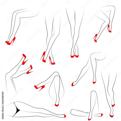 Collection A Picture With Silhouettes Of Slender Beautiful Female Legs