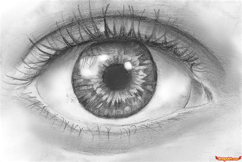 Drew A Eye Like This And I Passed Imagenes Ogen Tekenen Oog