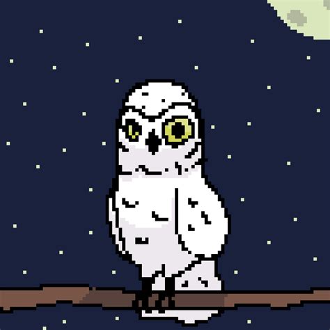 Animated Snowy Owl  Gratuito Bartstoltenburgh