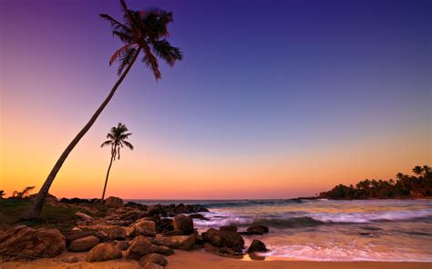 Sri Lanka Sunset Sea Coast Beach Rocks Palm Trees
