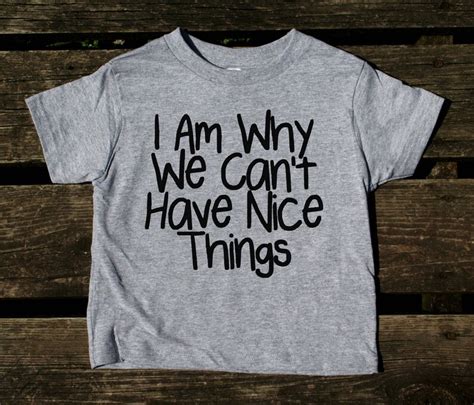 I Am The Reason We Cant Have Nice Things Toddler Shirt Etsy