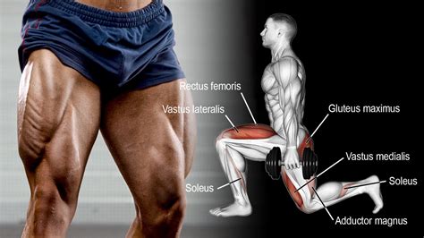 Best Dumbbell Leg Exercises And Workouts Fitness Volt