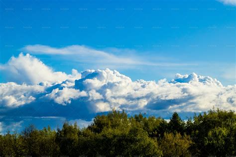 Forest Landscape With Clouds Background Stock Photos Motion Array