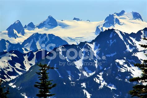 Mount Olympus Snow Mountains Hurricane Ridge Olympic National Pa Stock