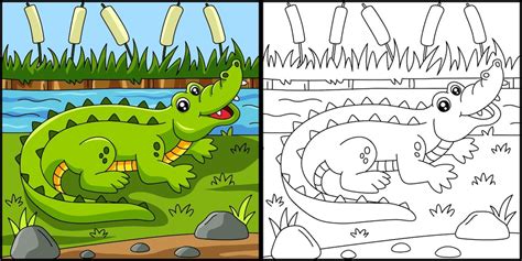 Ilustração Vetorial De Página Para Colorir De Crocodilo Vetor Premium