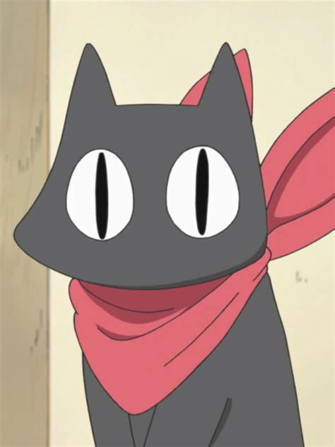 Black Cat Anime Names 12 Best Anime Cats Of All Time The Cinemaholic We Hope You Enjoyed