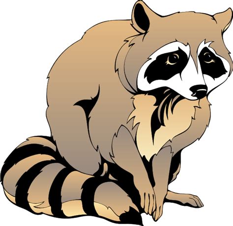 Free Raccoon Cliparts Download Free Raccoon Cliparts Png Images Free