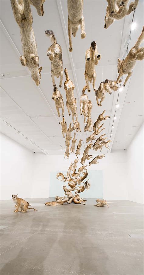 Head On An Art Installation By Cai Guo Qiang Design Is This