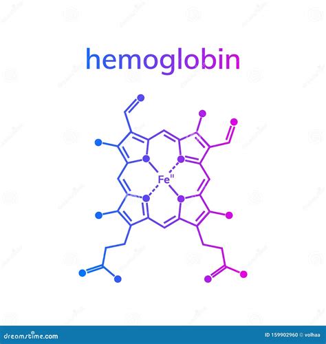 Hemoglobin Molecule Structure